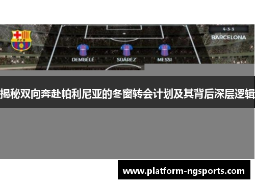 揭秘双向奔赴帕利尼亚的冬窗转会计划及其背后深层逻辑